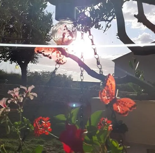 T And T Апартаменты