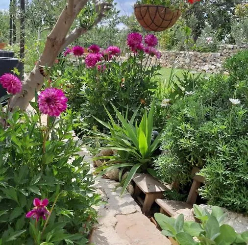 T And T Апартаменты Ражанац