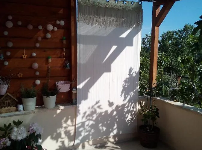 T And T Ражанац