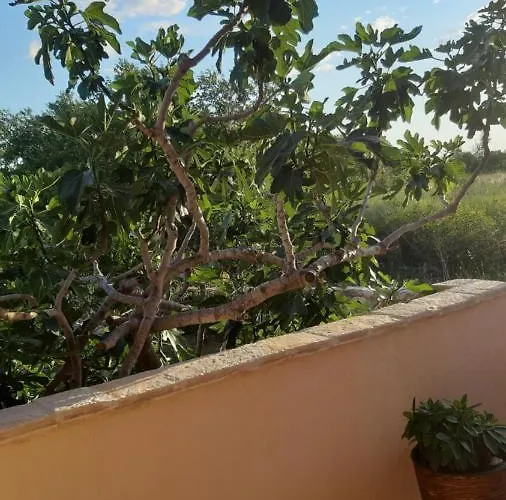 T And T Apartman Ražanac